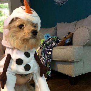 Meet your Posher, Maria